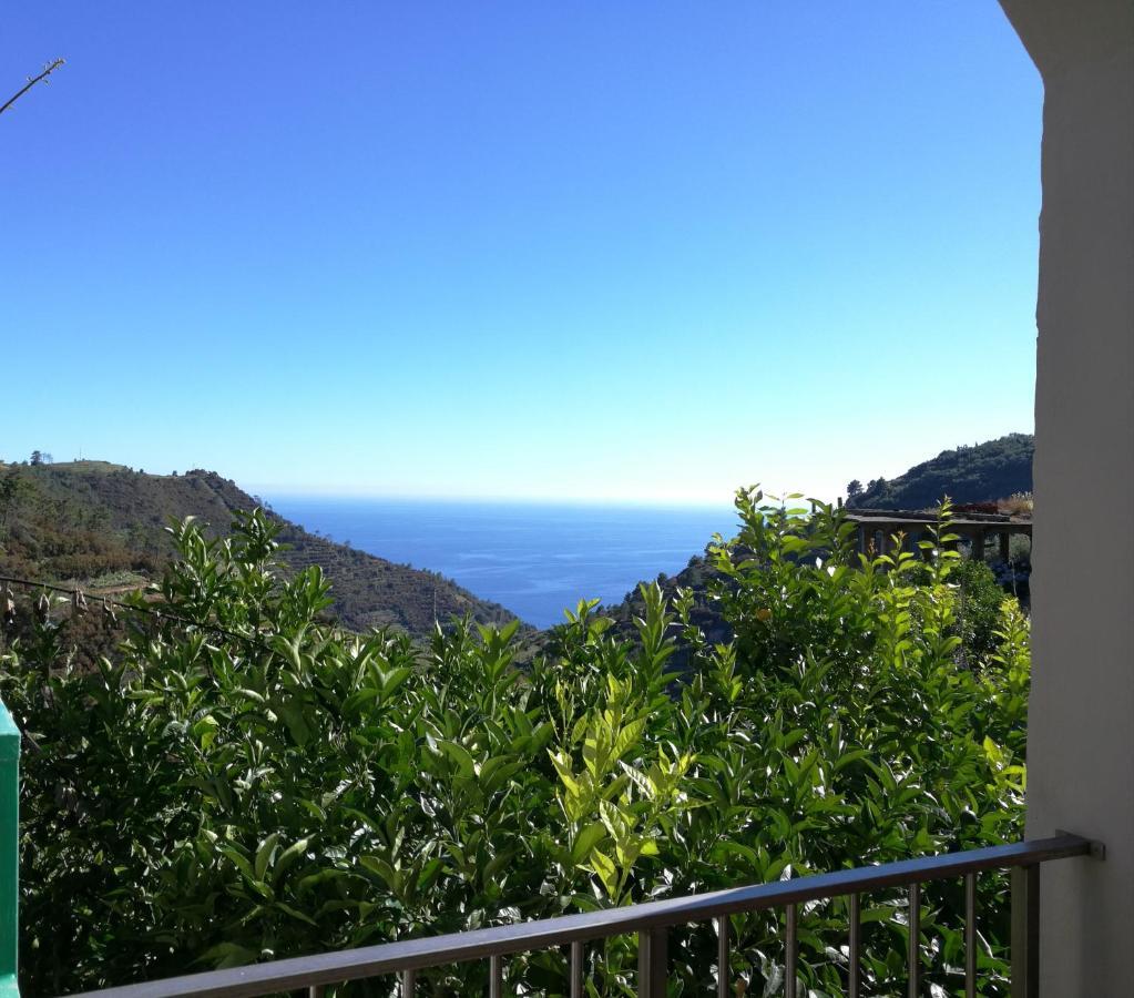 里奥马哲雷☆ Terrace & Relax ☆ Casa Franceschin_ Homy 5 Terre别墅 外观 照片