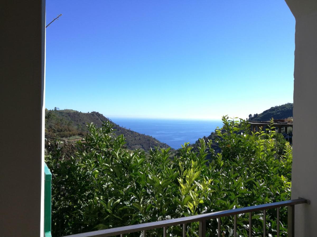 里奥马哲雷☆ Terrace & Relax ☆ Casa Franceschin_ Homy 5 Terre别墅 外观 照片