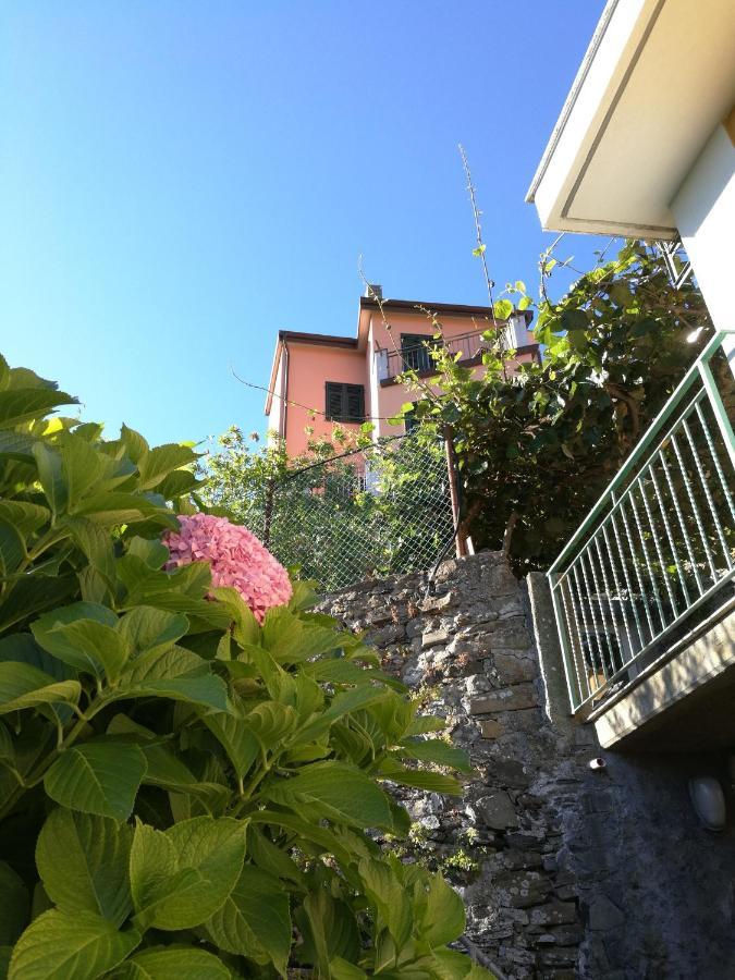 里奥马哲雷☆ Terrace & Relax ☆ Casa Franceschin_ Homy 5 Terre别墅 外观 照片
